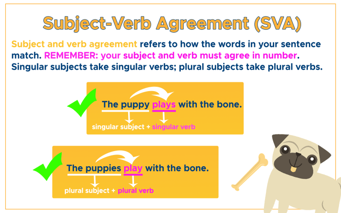 Subject verb concord class 9